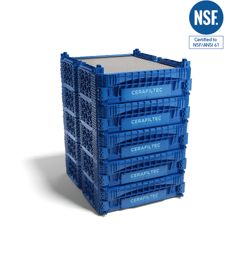 MODULE 6.0 S BLUE 61